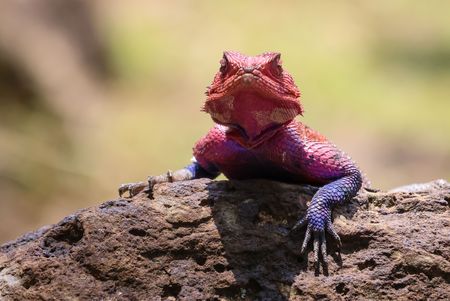 I have a picture for you! 21 June-27 June 2025