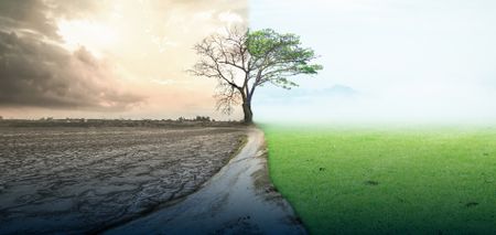 Studying sustainability is a benefit for society