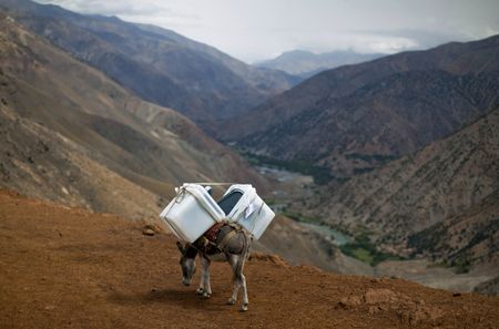 Elections in Taliban-land