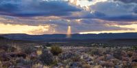 Karoo Spotlight. Photographer: Gerhard Kroukamp</p>
<p>P4U_readersubmission_20250321
