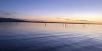 Kariba evening. Photographer: Patrick Devenish