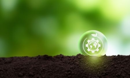 Take the money? A conundrum for African biodiversity and climate negotiators