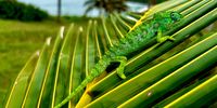 Hiding in plain sight. Photographer: Roelof Camminga</p>
<p>P4U_readersubmission_20250425