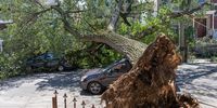 epa09444085 View of a downed tree in Corona, Queens, New York City, New York, USA, 02 September 2021 after the remnants of Hurricane Ida produced heavy rain and caused widespread flooding.  EPA-EFE/ANGEL COLMENARES