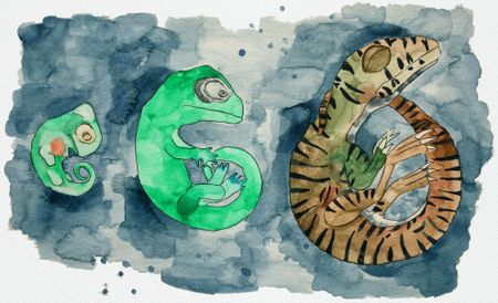 Land before Time: A rare glimpse into the life cycle of the ‘impala’ of dinosaurs