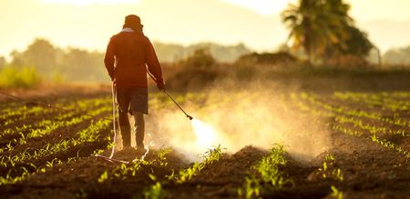 Laws governing global food system must be changed to stave off collapse – activists