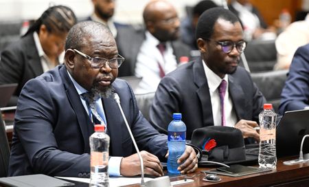 DA, EFF hit back at Godongwana's Budget 2025 for failure to address SA's jobs crisis