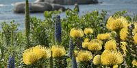 Simons Town. Photographer: Katherine Fillmore