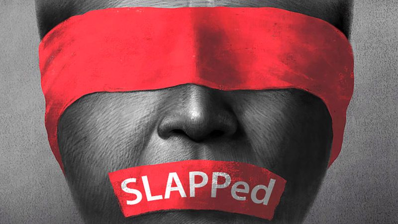 Our courts must tackle the practice of ‘Slapping’ human rights ...