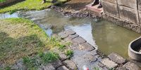Sewage in the grounds of Phuthulla Primary School in Boipatong, Emfuleni. (Photo: Supplied)