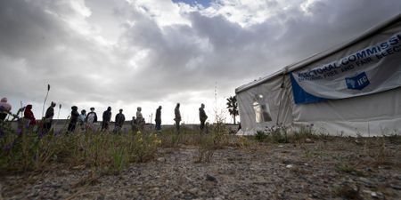 DA and ANC retain wards in Khayelitsha, Delft and Mitchells Plain, despite significant swings