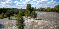 Floodwaters have expanded the Vaal River below the Vaal Barrage in Parys, Free State, following heavy rainfall and controlled releases from the Vaal Dam, surrounding many trees-including some on islands, North West, 30 April 2025. (Photo: Julia Evans)