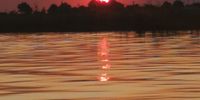 Chobe River Sunset. Image: Jay Pillay 