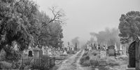 The Cradock cemetery on a misty morning. If you listen to the locals, dig around a bit, you will find that a Karoo graveyard is full of explorers, nuns, soldiers and, in this case, one Harry Potter