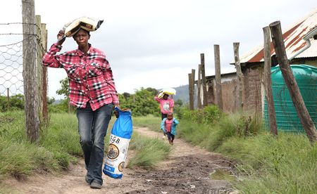 Ending hunger: A call for legislative action on food waste in South Africa