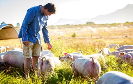 Regeneration might be the new bottom line for SA farms