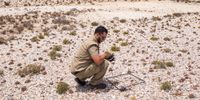 CapeNature ranger Hilton Bocks checks plants in Knersvlakte Nature Reserve in the Western Cape, one of the richest and most diverse succulent regions in the world. Photo: Ashraf Hendricks