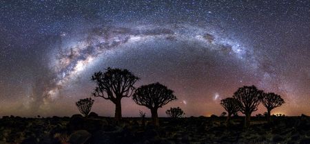 From stars to soil — ecologist Yadvinder Malhi brings physics to the living world