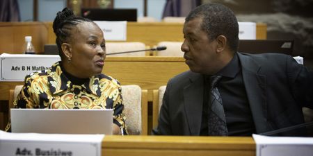 Dali Mpofu disses SA constitutional expert, preferring Zambia and Venice as legal beacons for Public Protector hearing