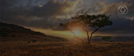 Tangled Equity: Navigating the Minefield of Complex Cap Tables