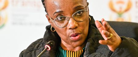 ‘Traumatising, devastating and bad’ — transport minister describes N3 robbery to Parliament