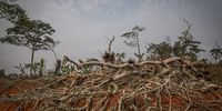 Alongside the road, villagers clear out forest for growing food. (Photo: Nathalie Bertrams)