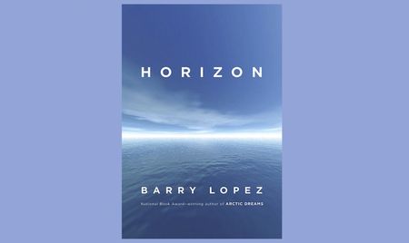 The Chanting Goshawk