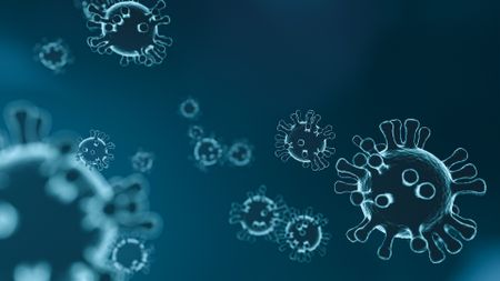 Cameroon confirms first case of coronavirus