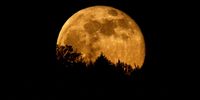 In South Africa the Foundation for Space Development is developing what it calls Africa’s first mission to the moon, the Africa2Moon Project.(Photo by Matthias Hangst/Getty Images)