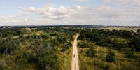 A road bisects greenery in Zimbabwe that Joseph Makowa walked through on his journey across Zimbabwe. (Screengrab: Wild Africa Fund)