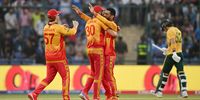 Cricket-Zim Minnows