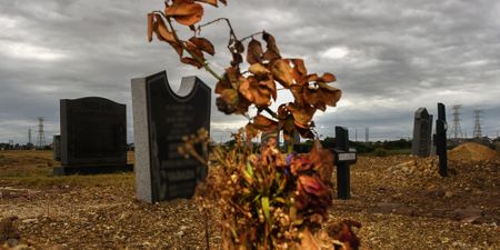 Discovery recorded the most deaths in its history in 2021 – but figures are back to normal