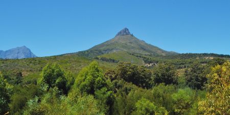 Hike, cycle, love – meet the proud people who breathed life back into Ida’s Valley in Stellenbosch
