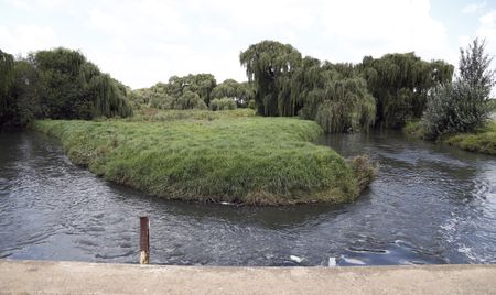 Gold mine pollution is poisoning Soweto’s water and soil – study finds food gardens are at risk