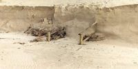 Steps hidden by the sands of time, exposed by storm seas. Photographer: Denyse Knipe