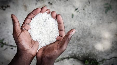 Sustainable collective solutions needed to address hunger