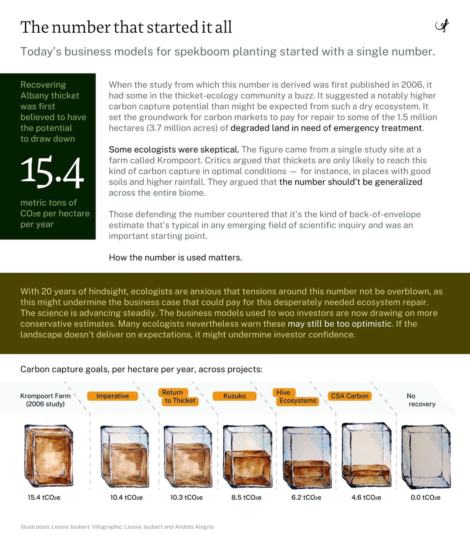 How spekboom heals soil