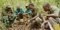 Since starting the programme, Olabode has recruited former poachers and hunters, as well as residents of communities boardering the forest to become rangers and further aid the work he does in the forest.Photo:Wild Africa Fund