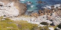 Hermanus Hues. Photographer: Lynn Crossley <br>