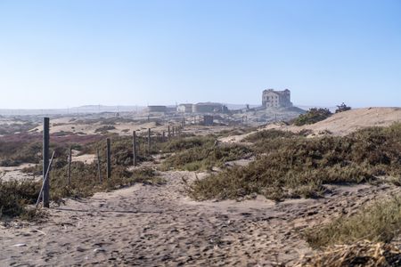 The Guptas’ poisonous legacy: How State Capture hobbled Alexkor (Part One)