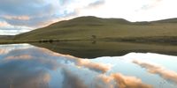 As about so below. Photographer: Christo Opperman</p>
<p>P4U_readersubmission_20250509