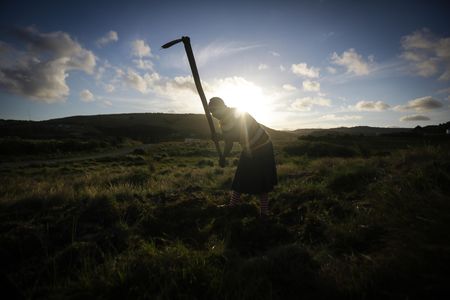 Profiting from land reform: The risk of a different form of capture