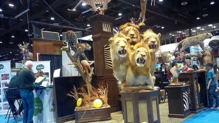 End trophy hunting in South Africa, or we won't visit your country, say tourists