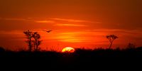 October Central Kalahari Game reserve