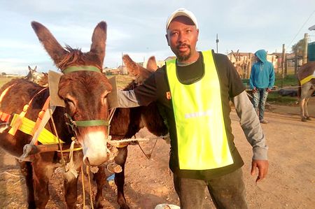 Donkey Day brings hope — and help — to Makhanda’s beloved beasts of burden