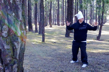 The Brendan Jack unofficial, Fifa-unendorsed guide to the 2010 Soccer World Cup