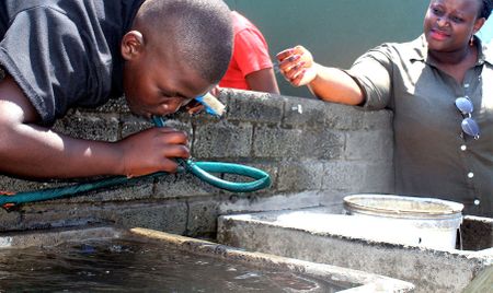 DA lodges complaint against Buffalo City Metro over water quality