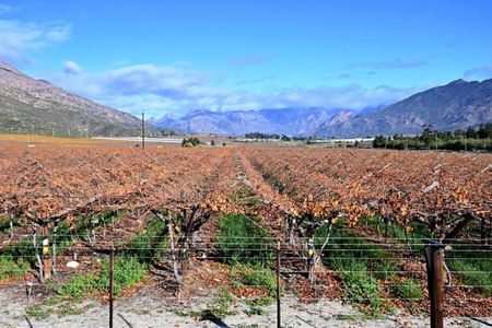 Very strong El Niño is a ‘stress test’ for SA’s food systems