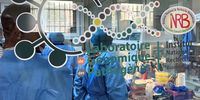 Bird-ebola-scientists-defences