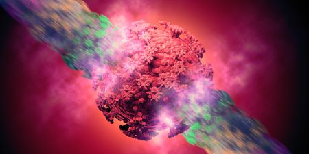 The 'incredibly transmissible' Kraken could take over as dominant Covid-19 strain in South Africa